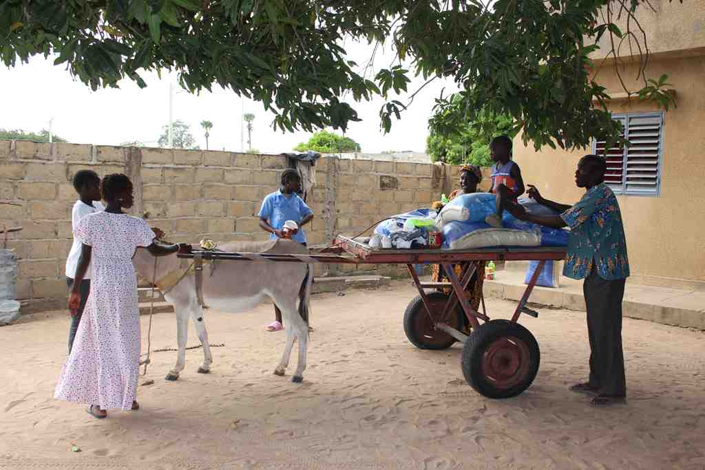 Distribution riz chez Gigi